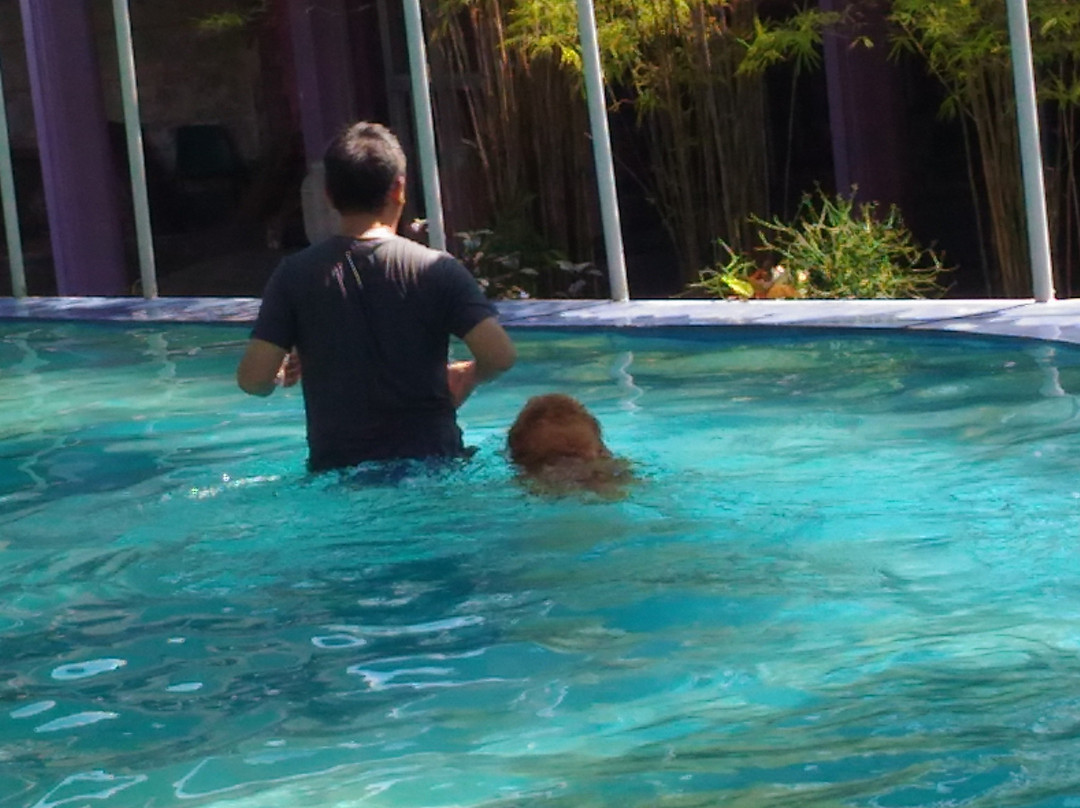 Four Face Buddha Statue-泗水必去景点