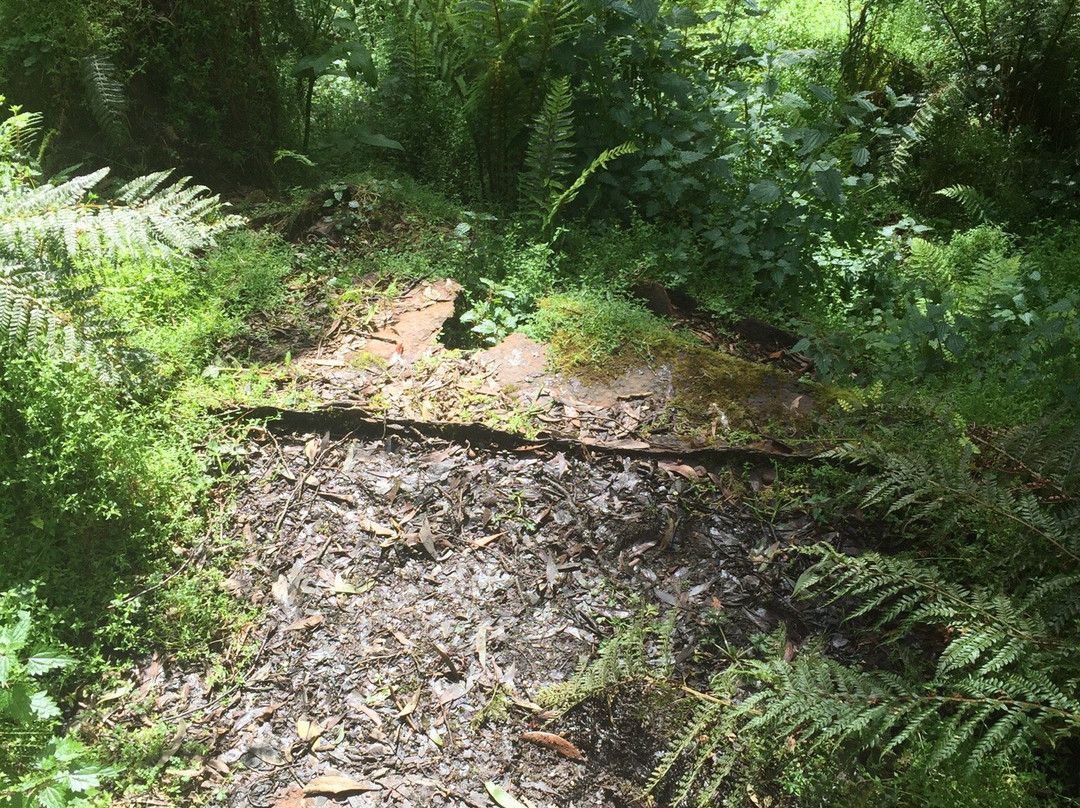 Mt Worth National Park-Allambee必去景点