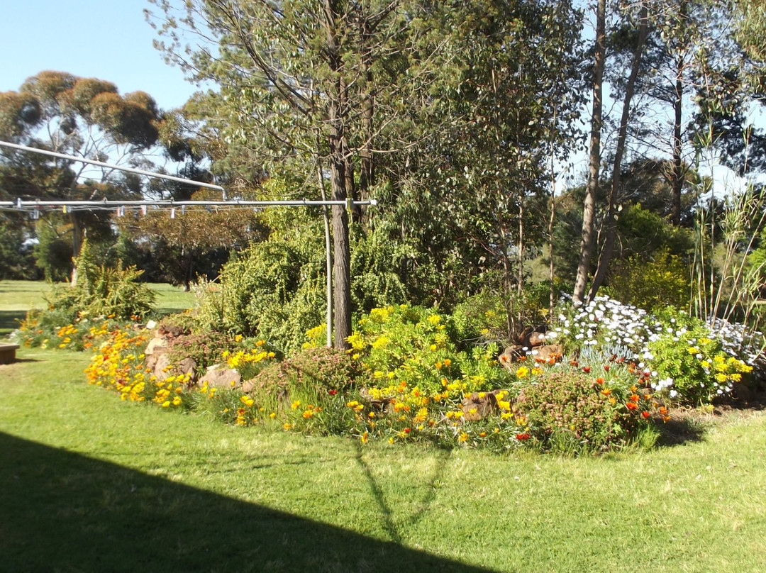 Oasis Caravan Park