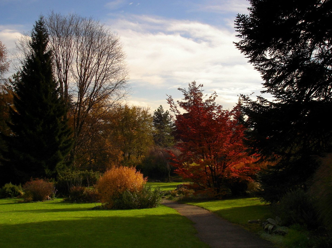 Jardin Botanique Alpin de Meyrin景点图片