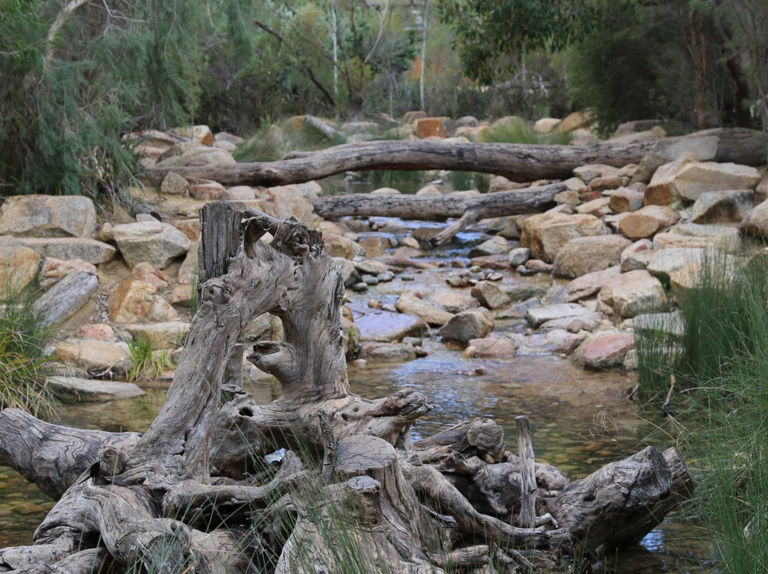 Rio Tinto Naturescape Kings Park