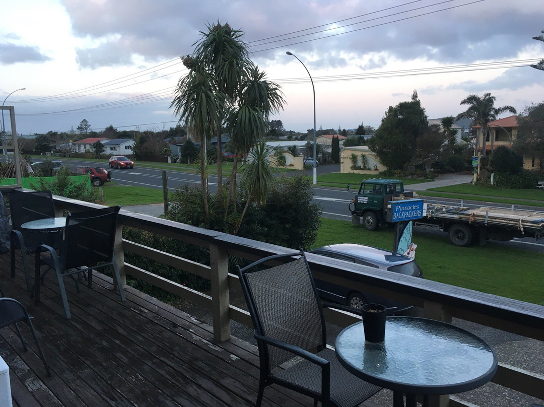 The Pinnacle Backpackers