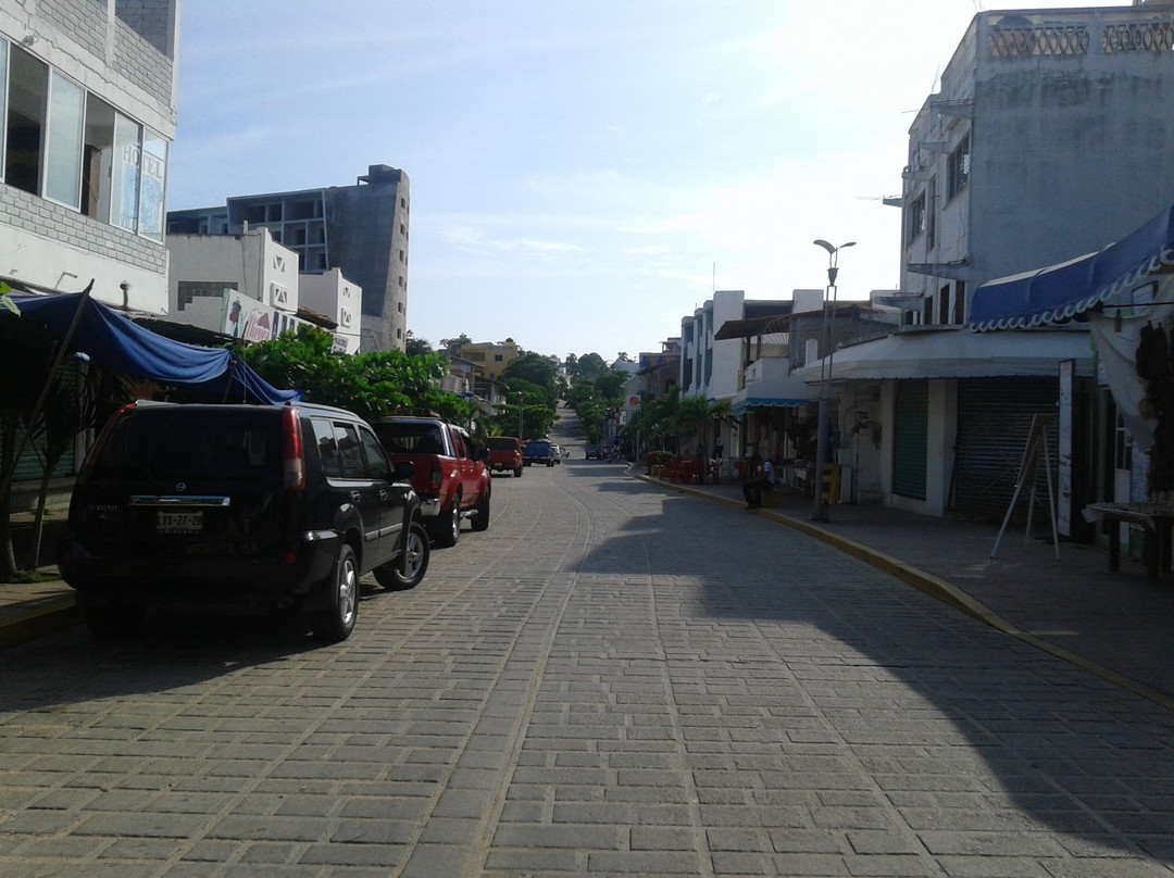 Perez Gasga-埃斯孔迪多港必去景点