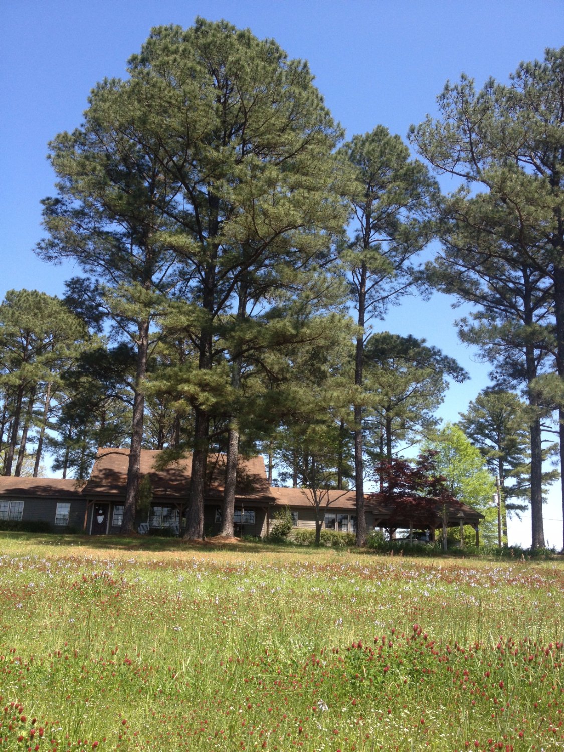 Havenridge Bed and Breakfast-浴室