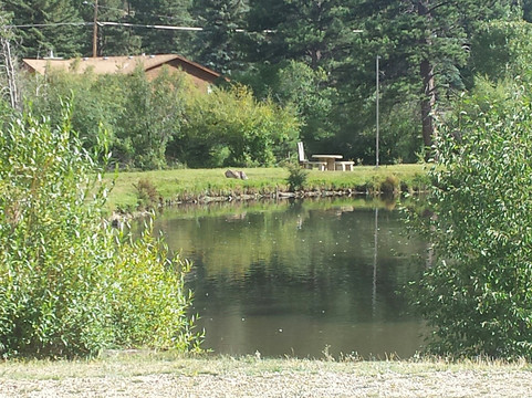 Red Rose Rock Shop & Dick's Rock Museum-埃斯蒂斯公园必去景点