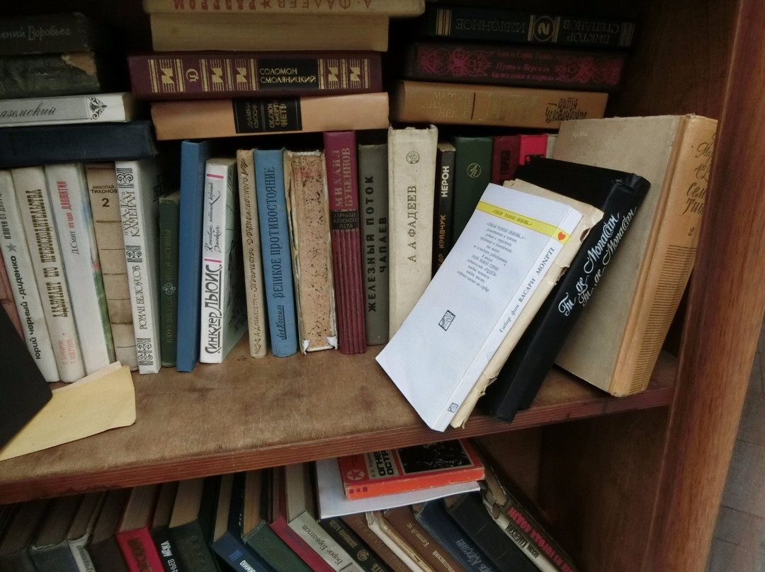 Art-Object Book Shelf-海参崴必去景点