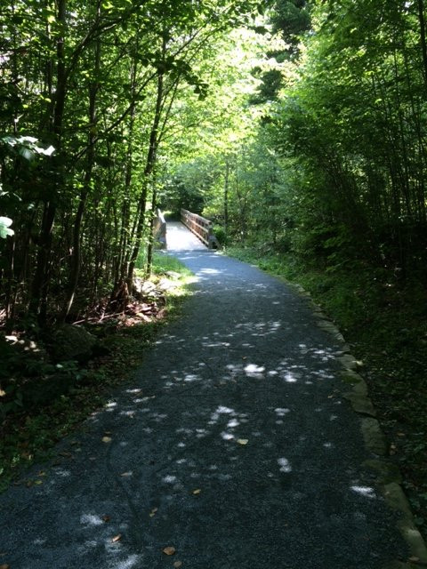 Limberlost Trail-雪兰多国家公园必去景点