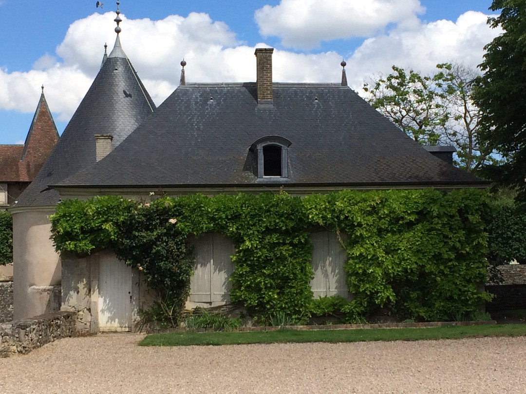 Château d'Haroue景点图片