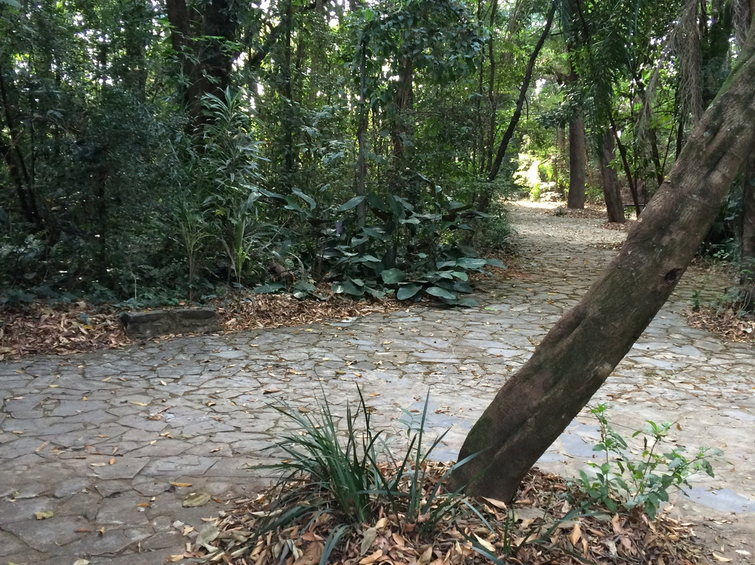 Bosque dos Italianos-坎皮纳斯必去景点