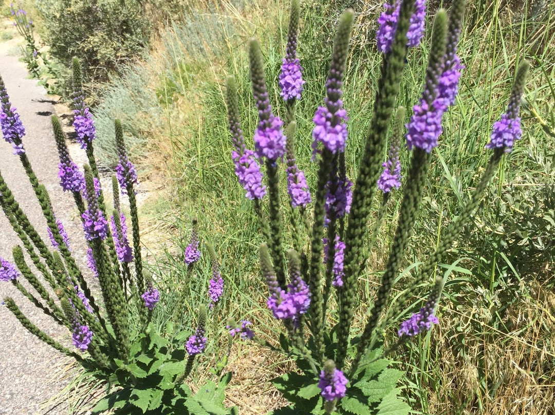 Saddle Rock Trail-Gering必去景点