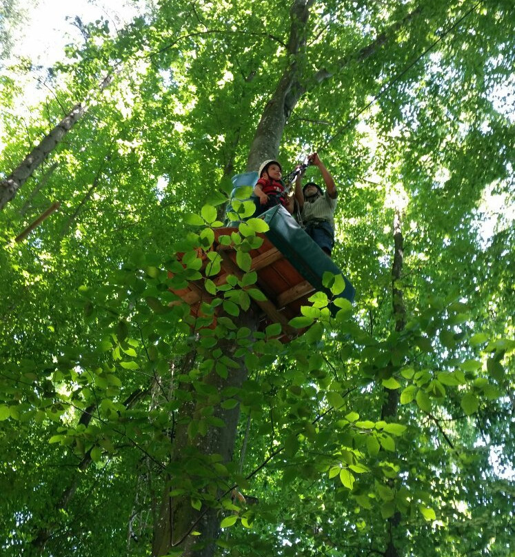 AbenteuerPark Immenstaad-Immenstaad必去景点