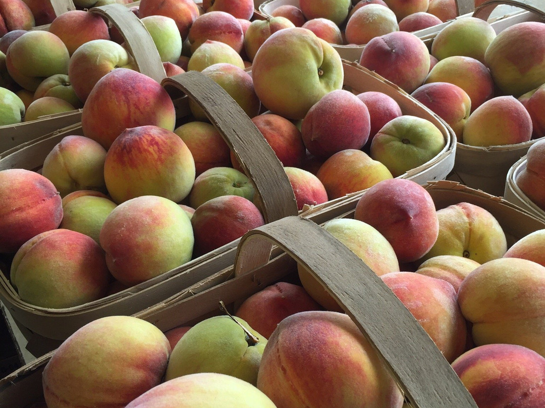 Abbott Farms Fruit Market-Cowpens必去景点