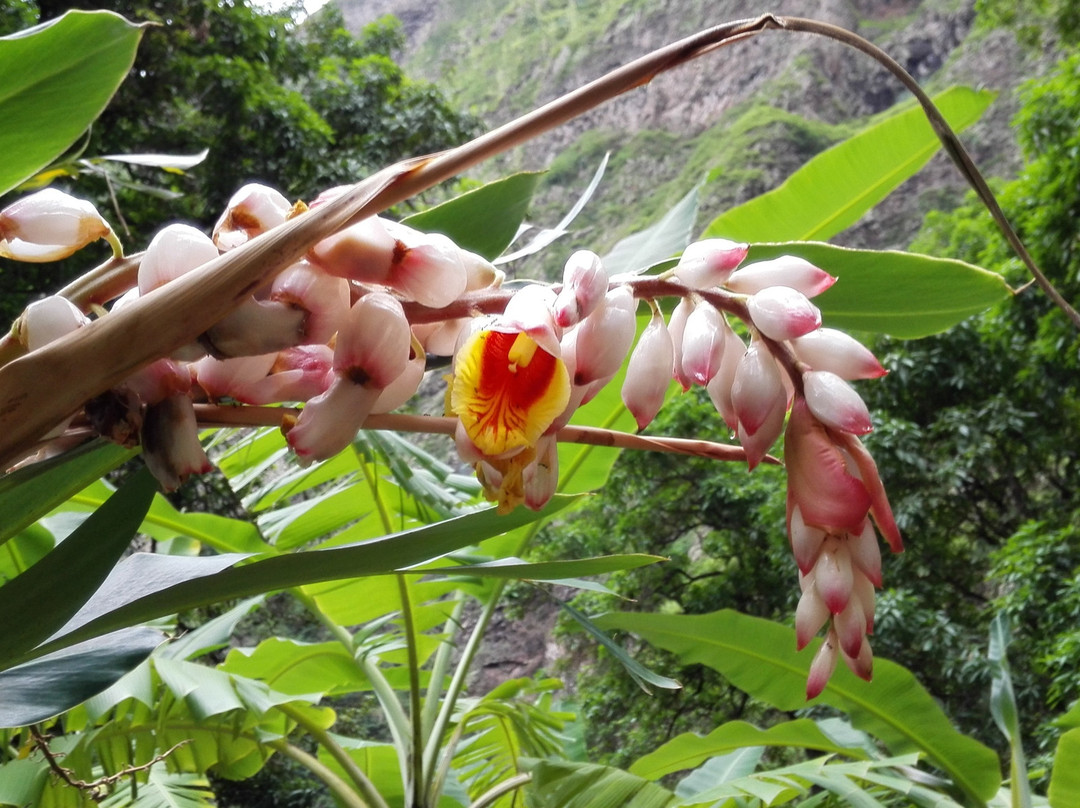 Pousada do Ceu主图