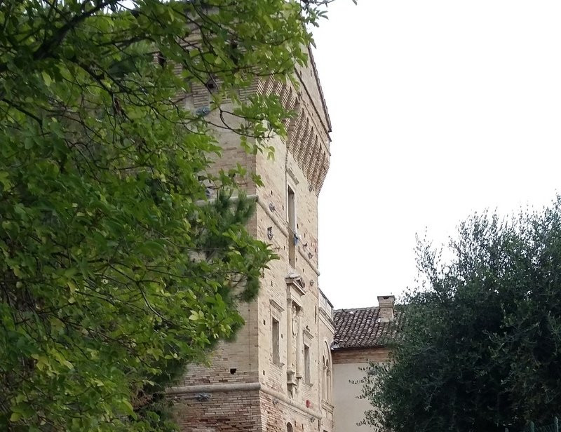 Torre di Carlo V e Dogana景点图片