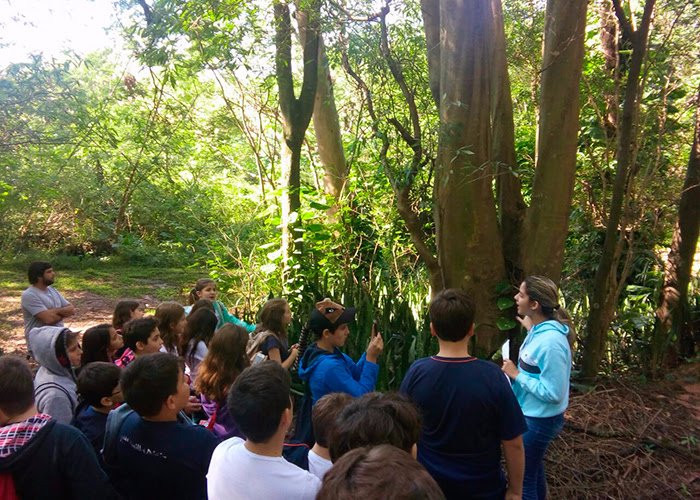 Lins旅游景点-Horto Florestal de Lins