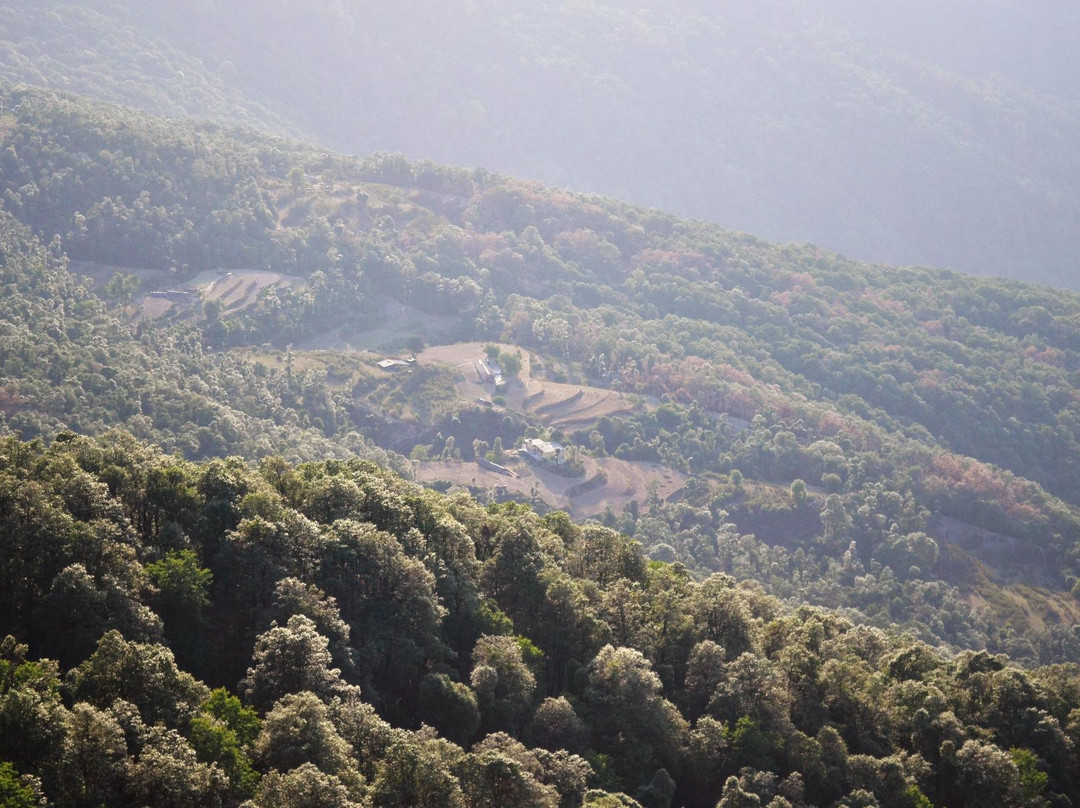 Benog Wildlife Sanctuary-马苏里必去景点