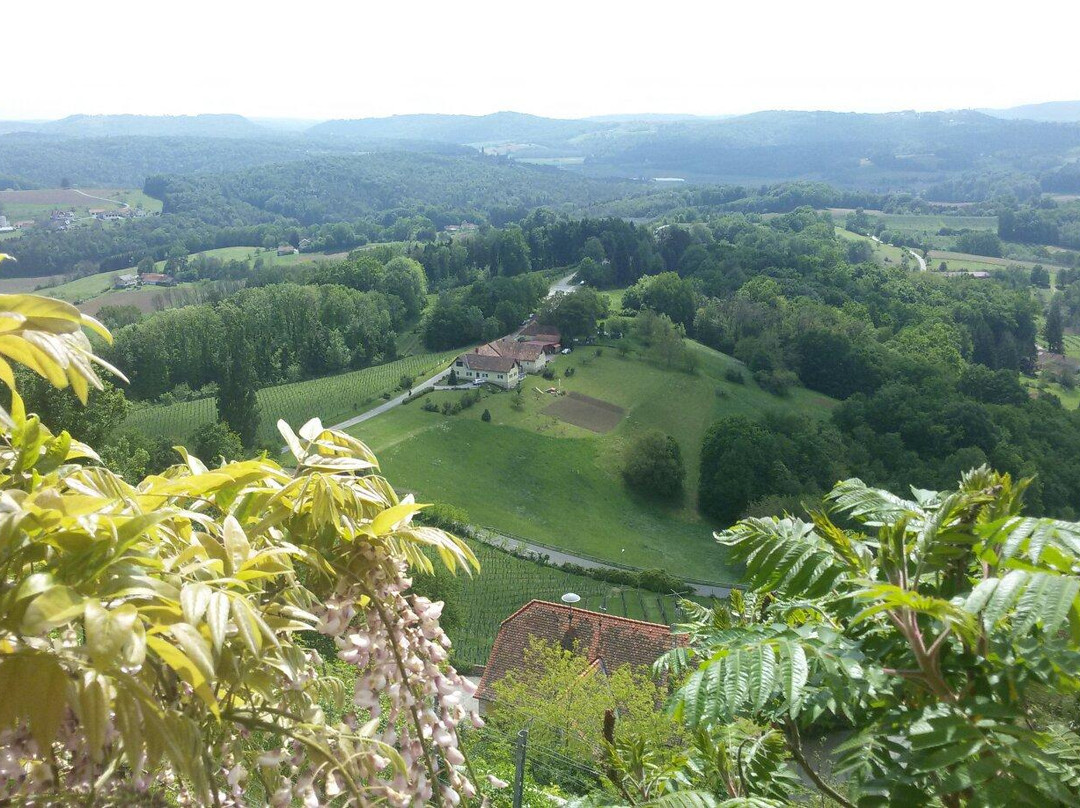 Rogasovci旅游景点-Weinhof Platzer