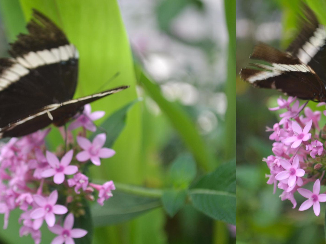 Parque Tematico de la Cruz-Santa Ana必去景点