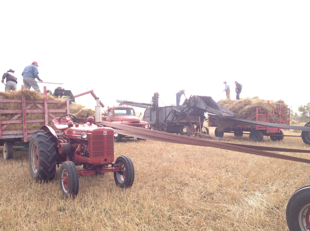 Stony Plain and Parkland Pioneer Museum景点图片