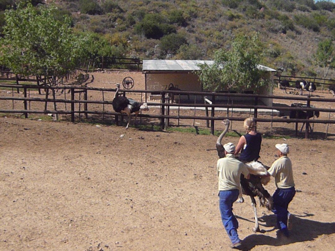 G-Route Adventure Tours and Safaris-开普敦必去景点