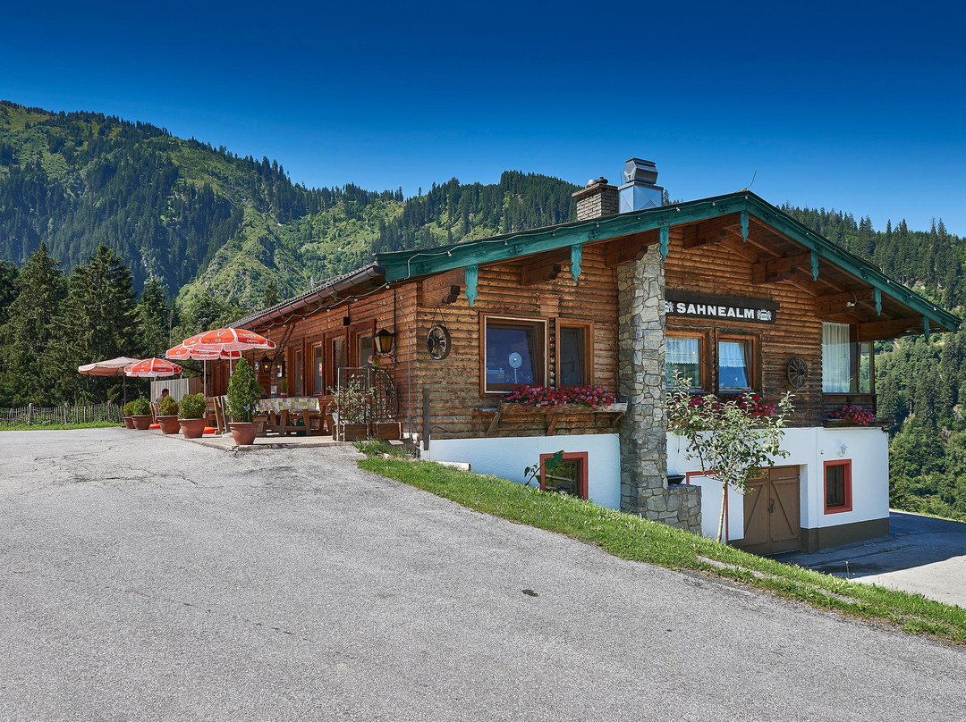 Hollersbach im Pinzgau餐馆和美食-Sahnealm