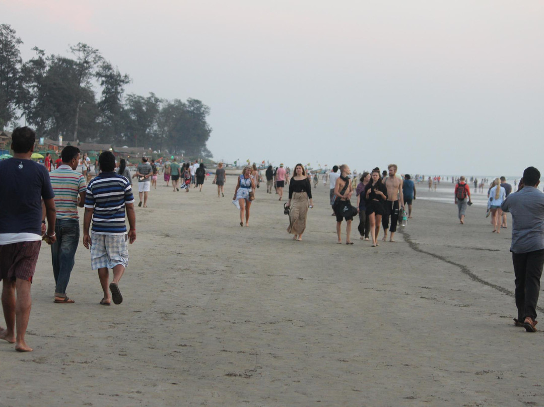 Cabo Wabo Beach Lodge主图