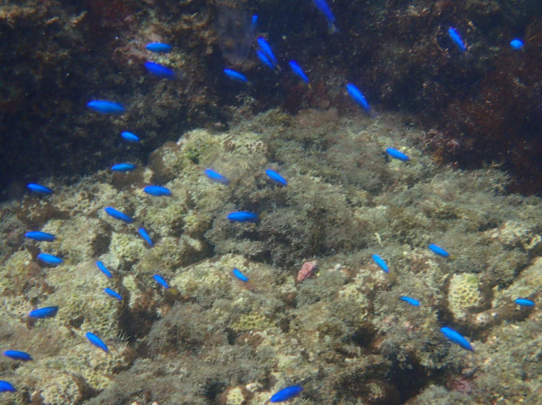 Naka no Ura Beach-式根岛必去景点