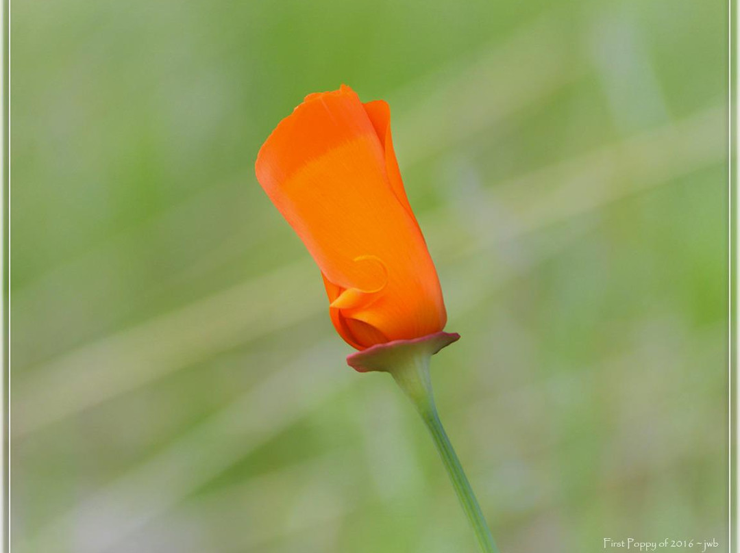 Contra Loma Regional Park-安条克必去景点