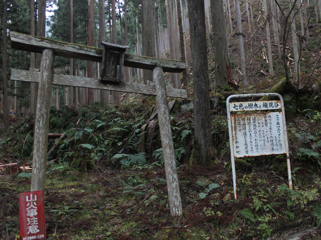 Nanairo-no-Ki-京丹波町必去景点