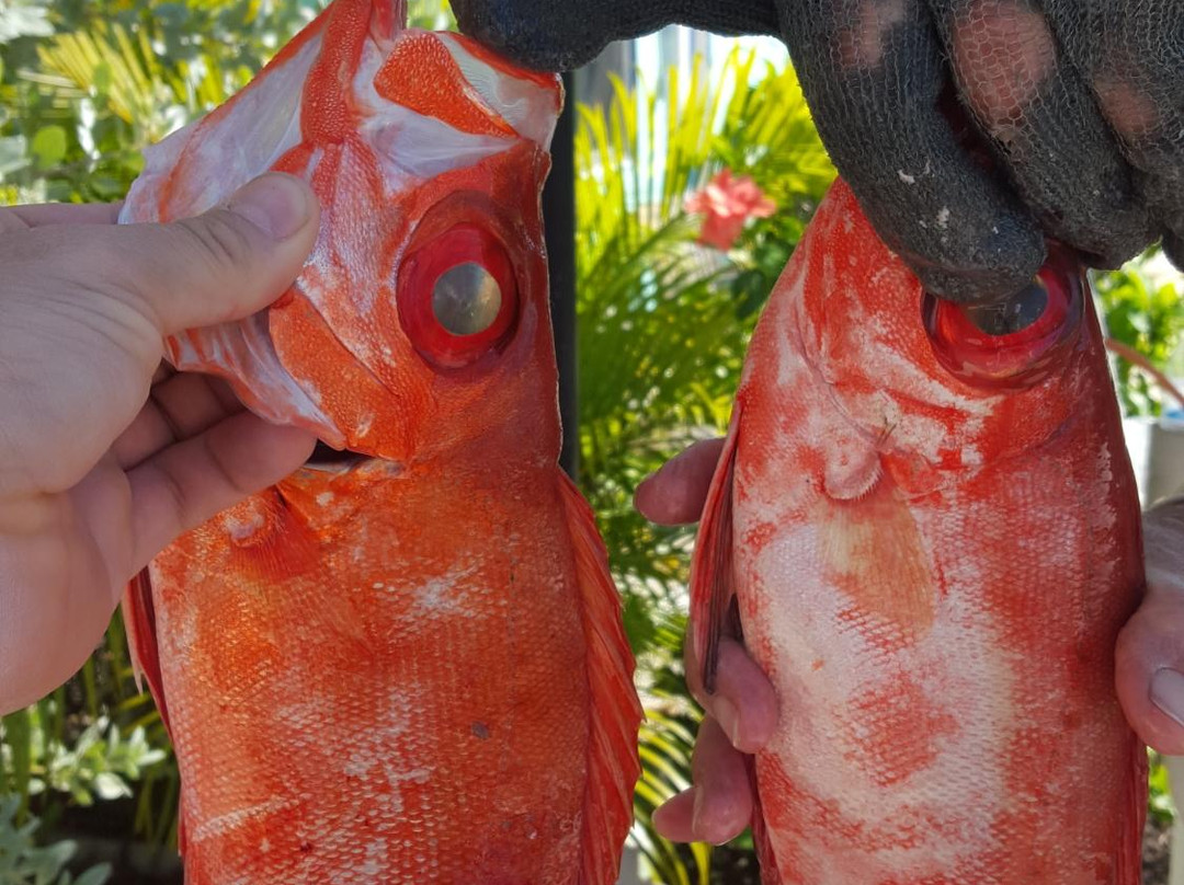 Dooda Charters-Long Key必去景点