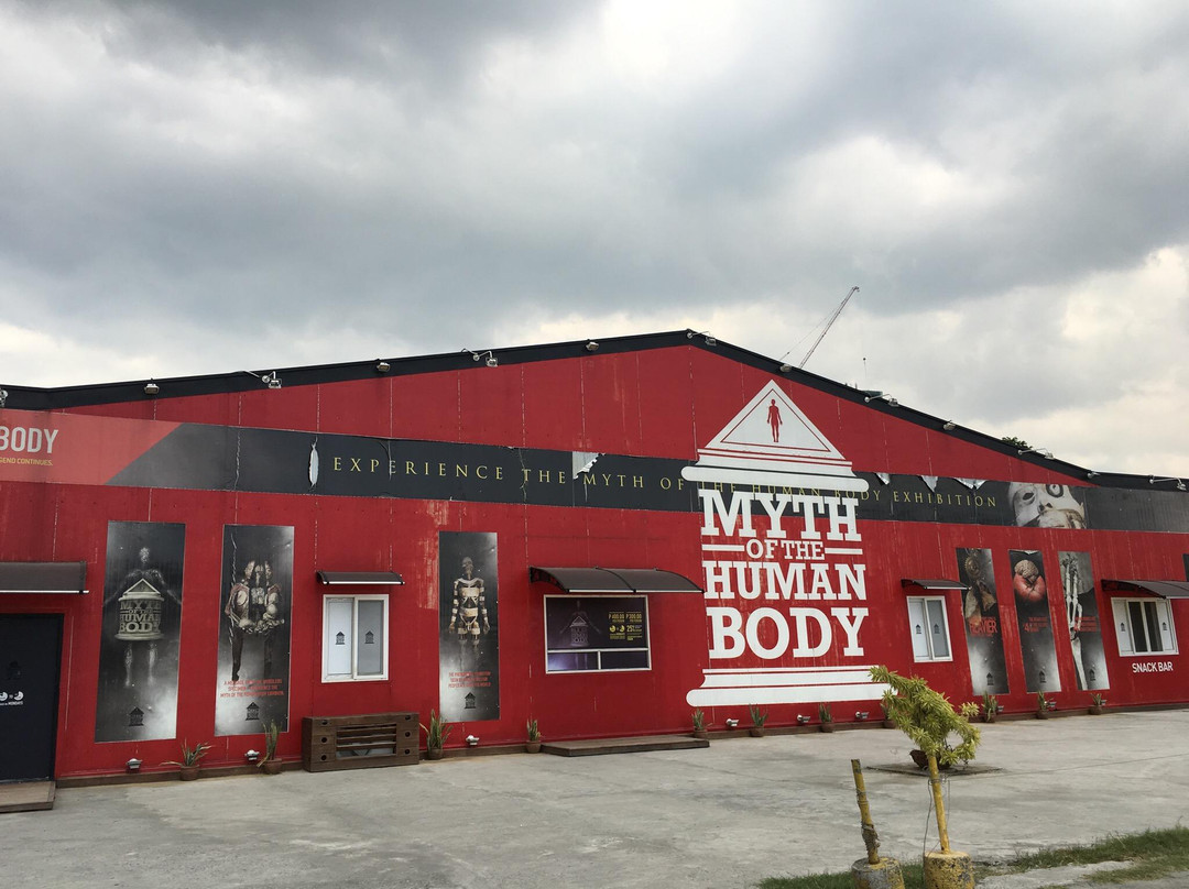 Myth of the Human Body-帕塞必去景点