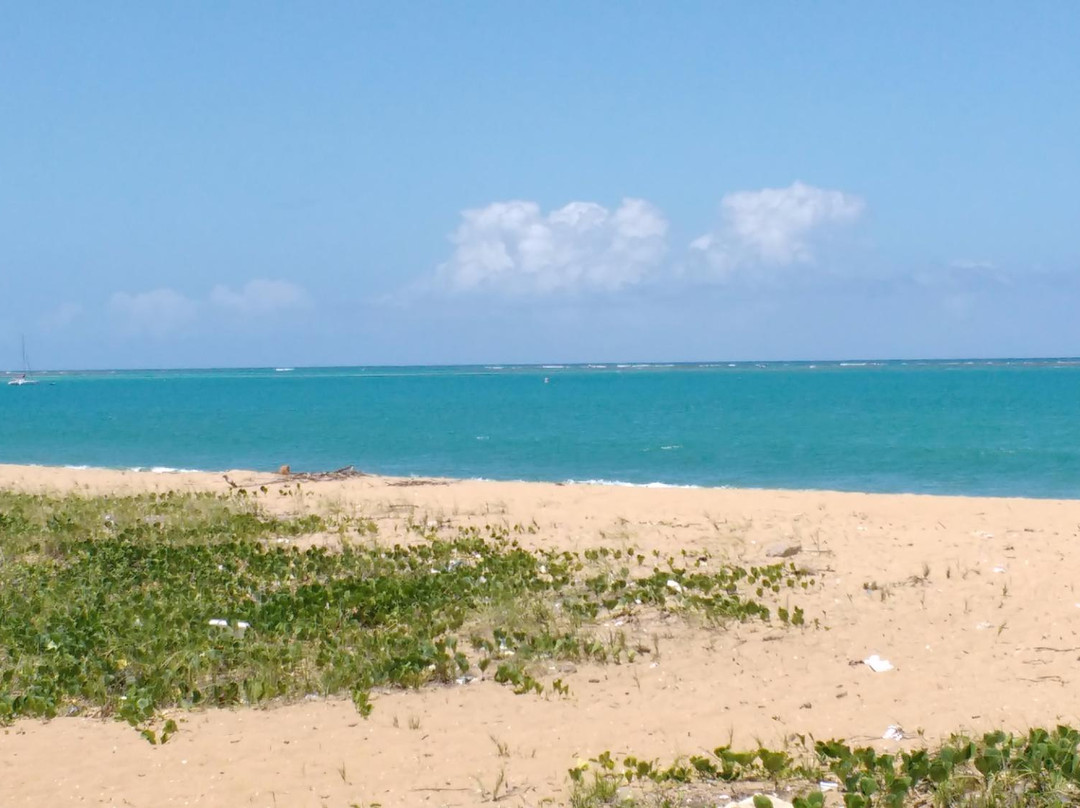 Boca da Barra Beach-Tamandare必去景点