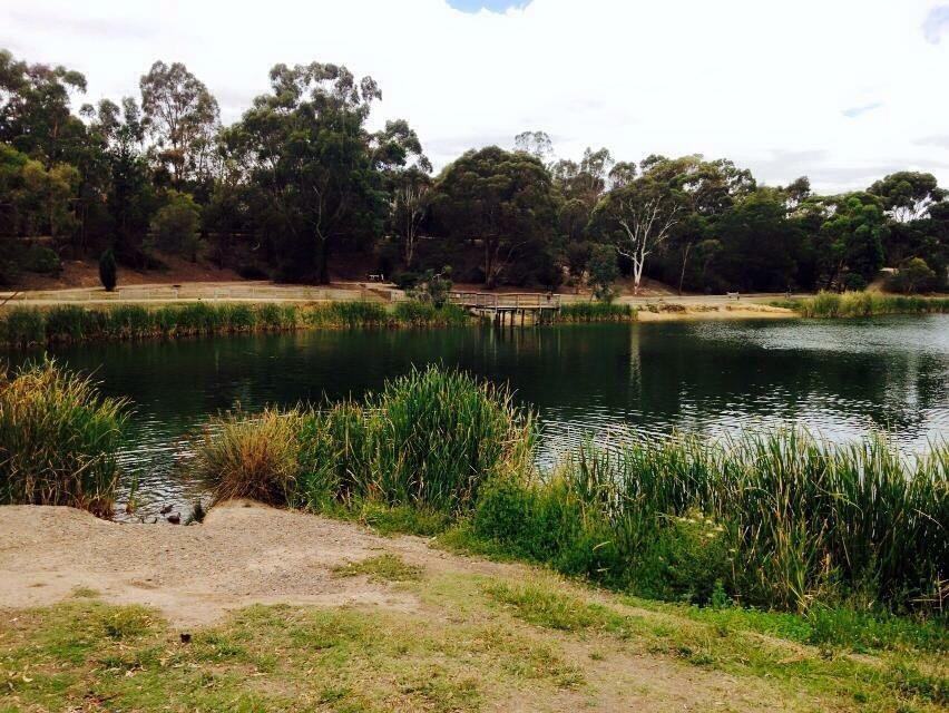Lake Esmond Botanical Park景点图片