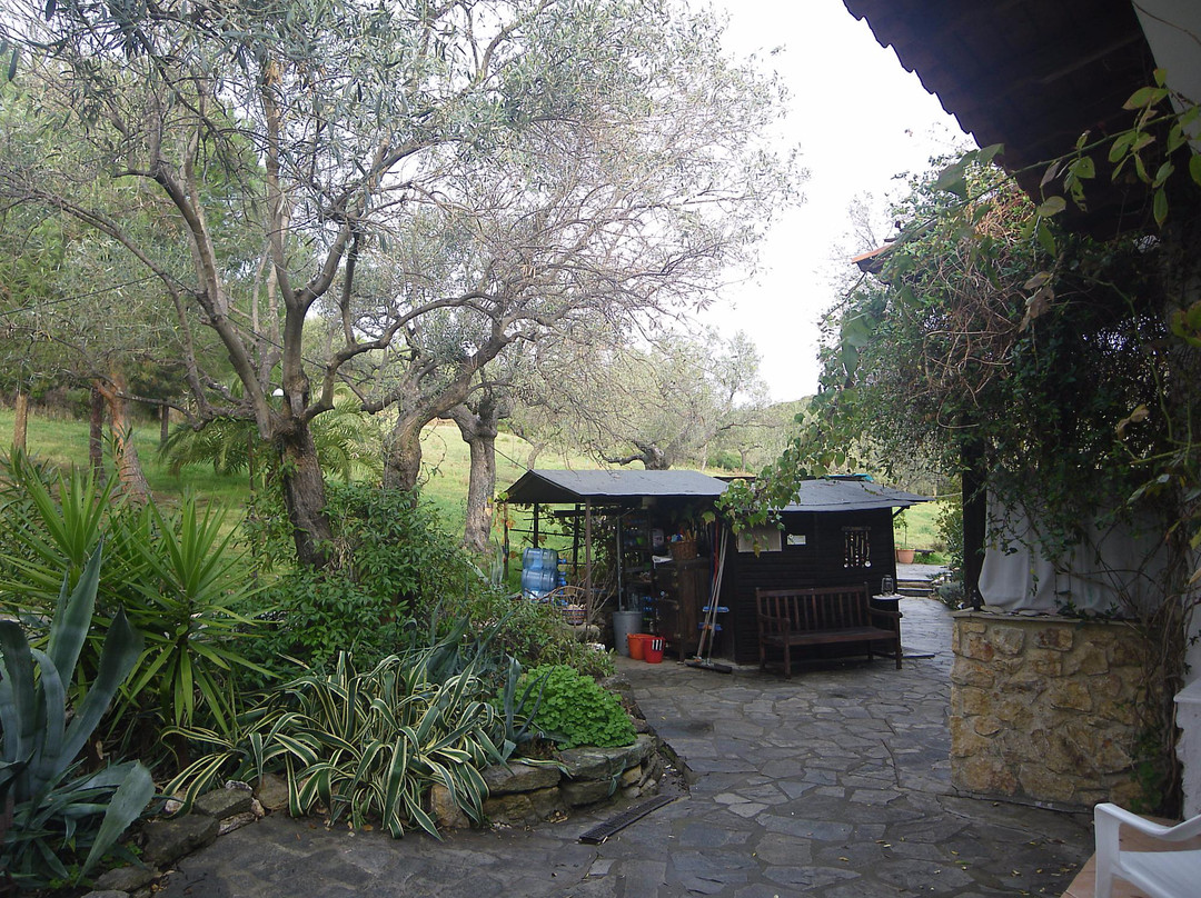 Salonikiou旅游攻略图片