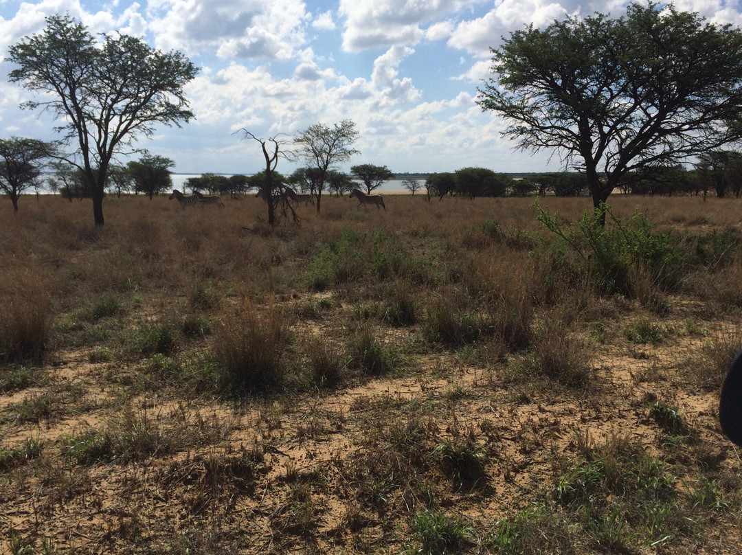 Bloemhof旅游攻略图片