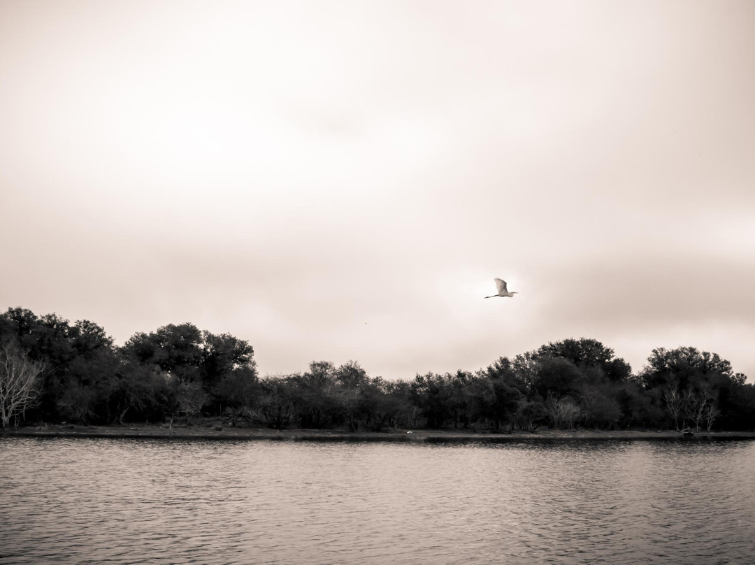 Coleto Creek Park & Reservoir-维多利亚必去景点