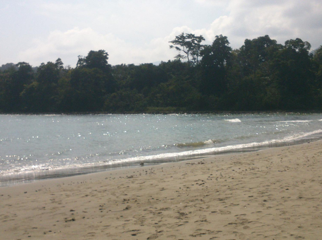 Diglipur Beach景点图片
