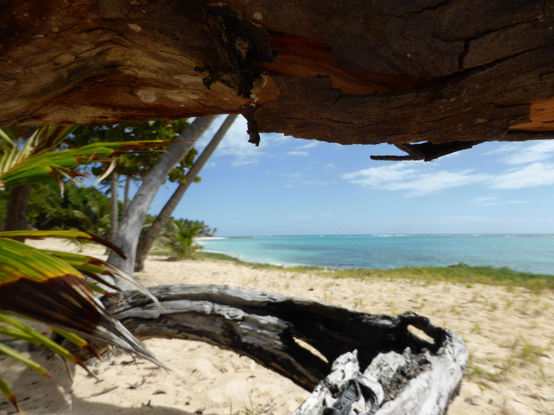 Gwada Aventure-Saint Francois必去景点