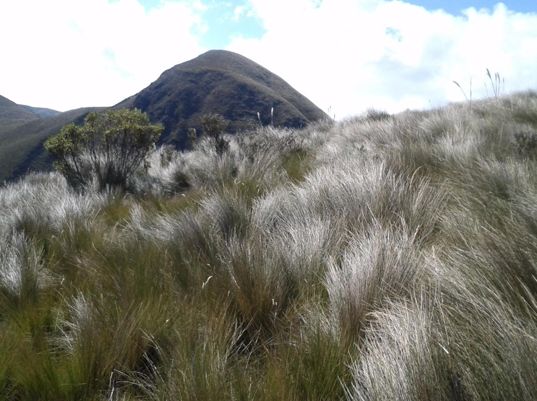 Illiniza Ecological Reserve-Alangasi必去景点