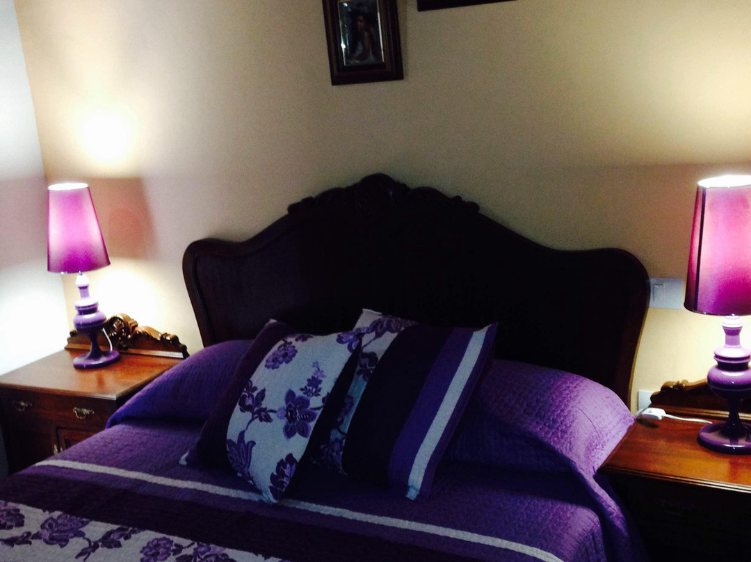 Santa Lucía de Tirajana酒店住宿-Casa Elisa Gran Canaria