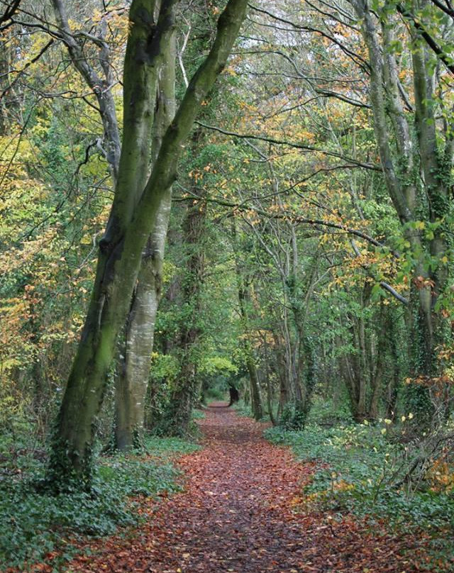 Jenkinstown Wood Walled Garden Loop-Jenkinstown必去景点