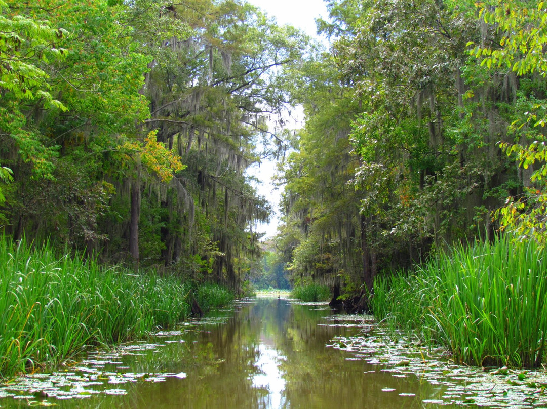 Johnson's Ranch Marina-Uncertain必去景点