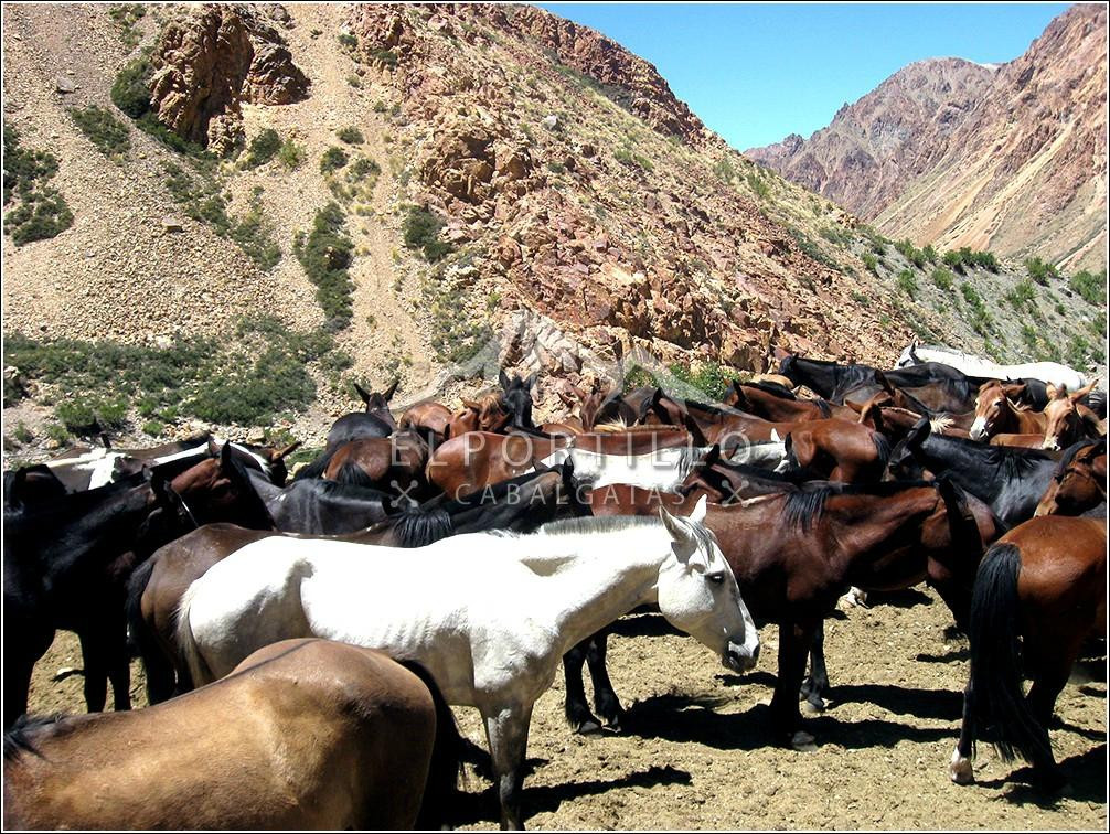 Cabalgatas El Portillo - Day Tours-Los Chacayes必去景点
