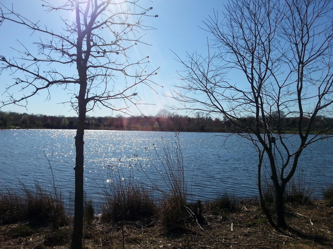 Lake Artemesia-科利奇帕克必去景点