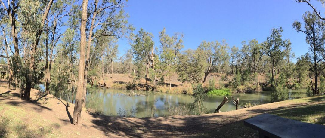 Botanic Gardens-Emerald必去景点
