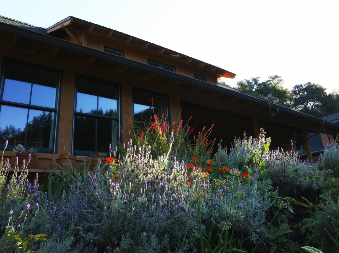 Wellspring Ranch