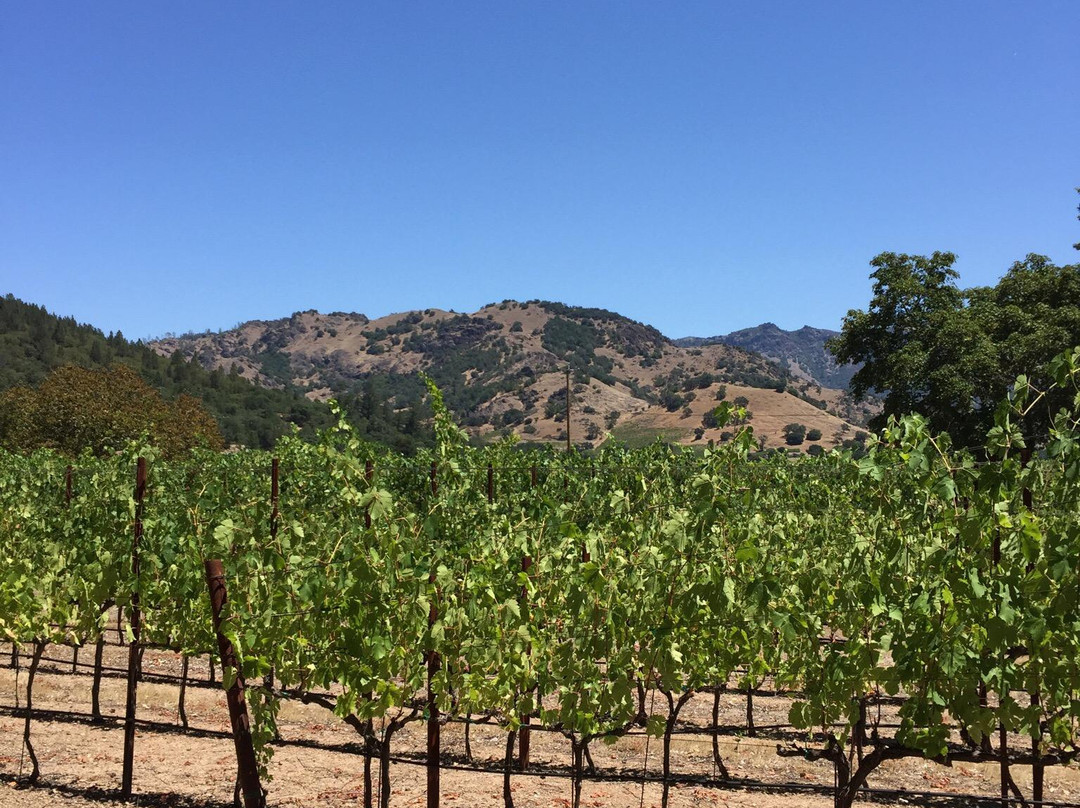 Napa Valley Winery Bike Tour景点图片