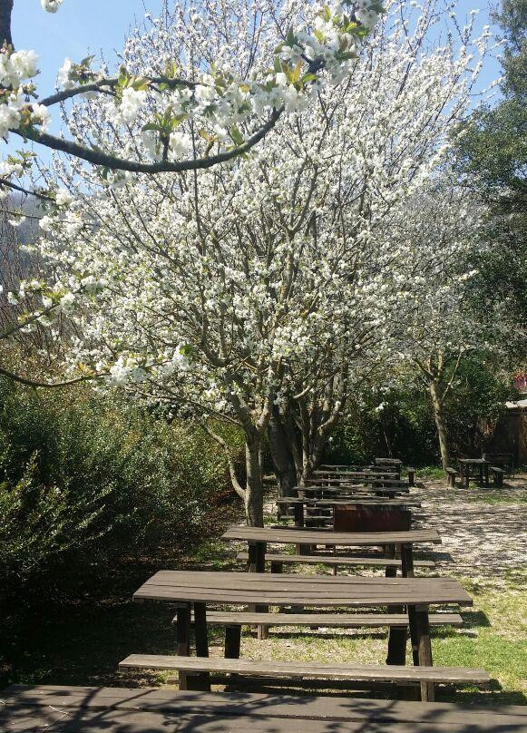 Azienda Il Giardino di Diana-Nemi必去景点