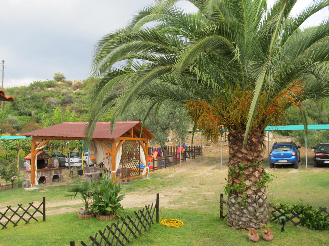 Tsamakdas House主图