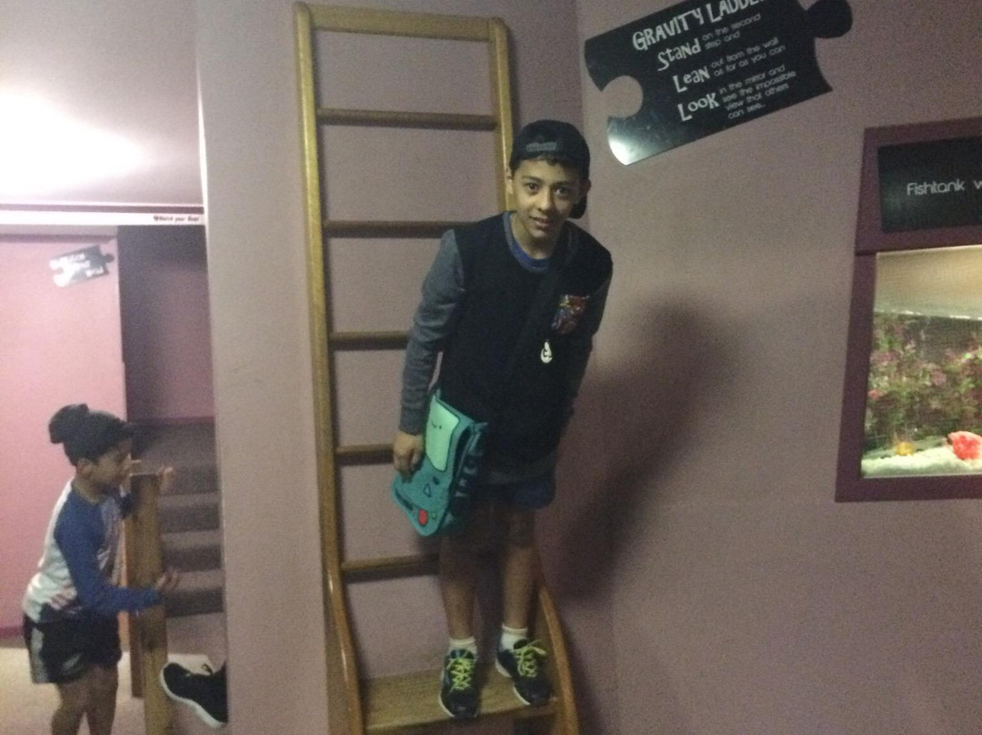 A Maze'N Things-考斯必去景点